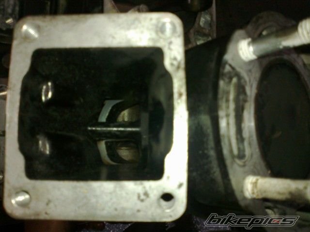 Photo 2472588
