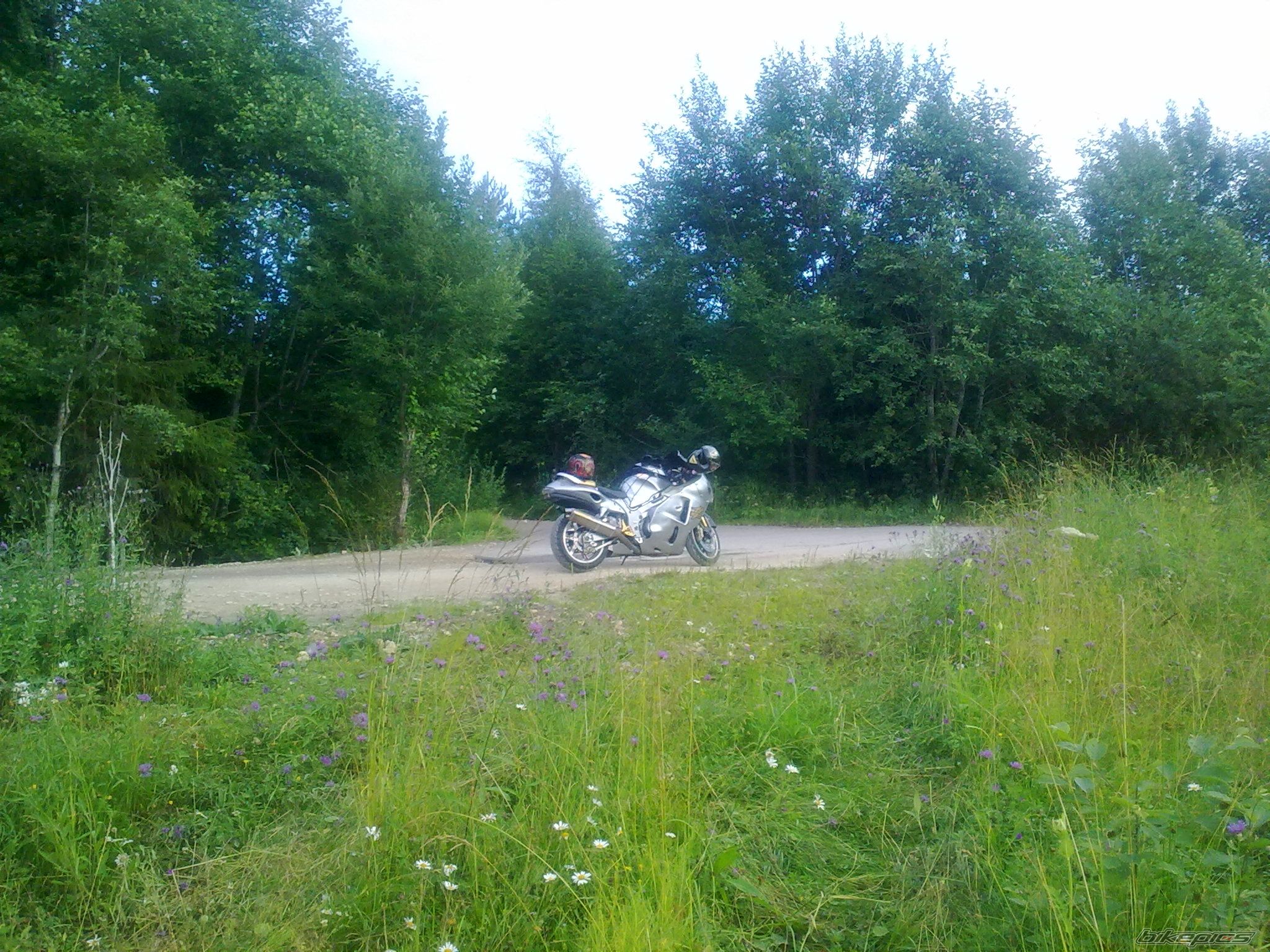 Photo 2472677