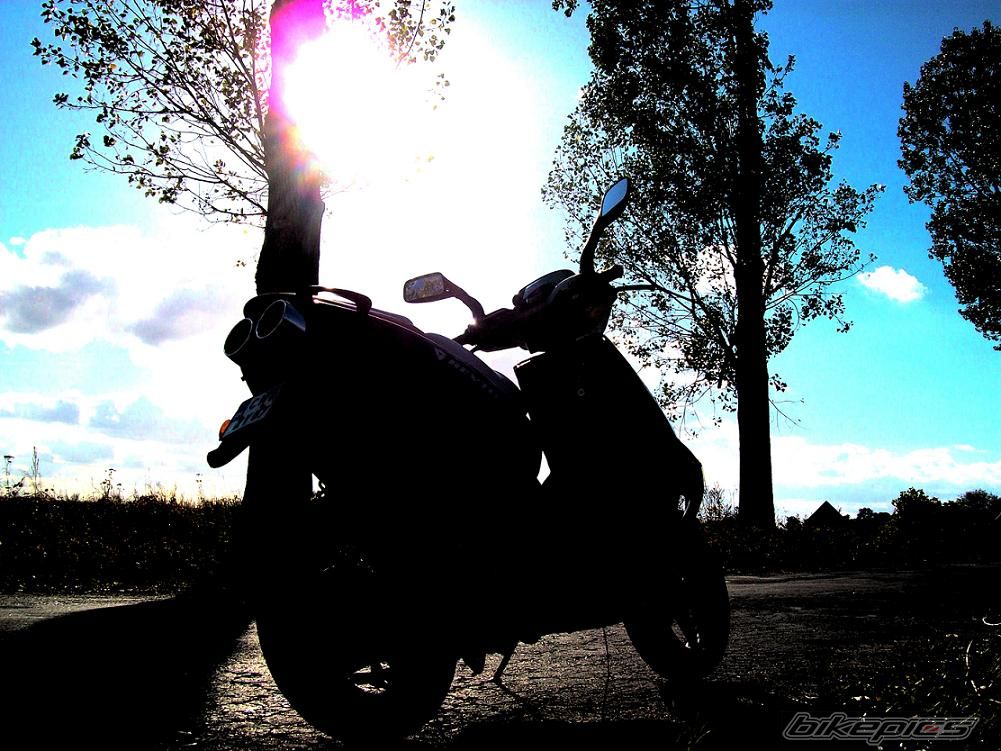 Photo 2472684