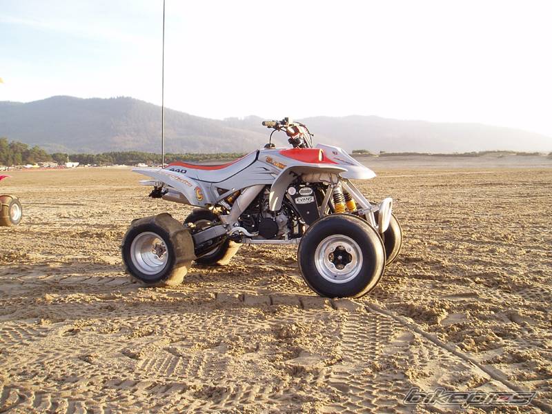 Photo 247271