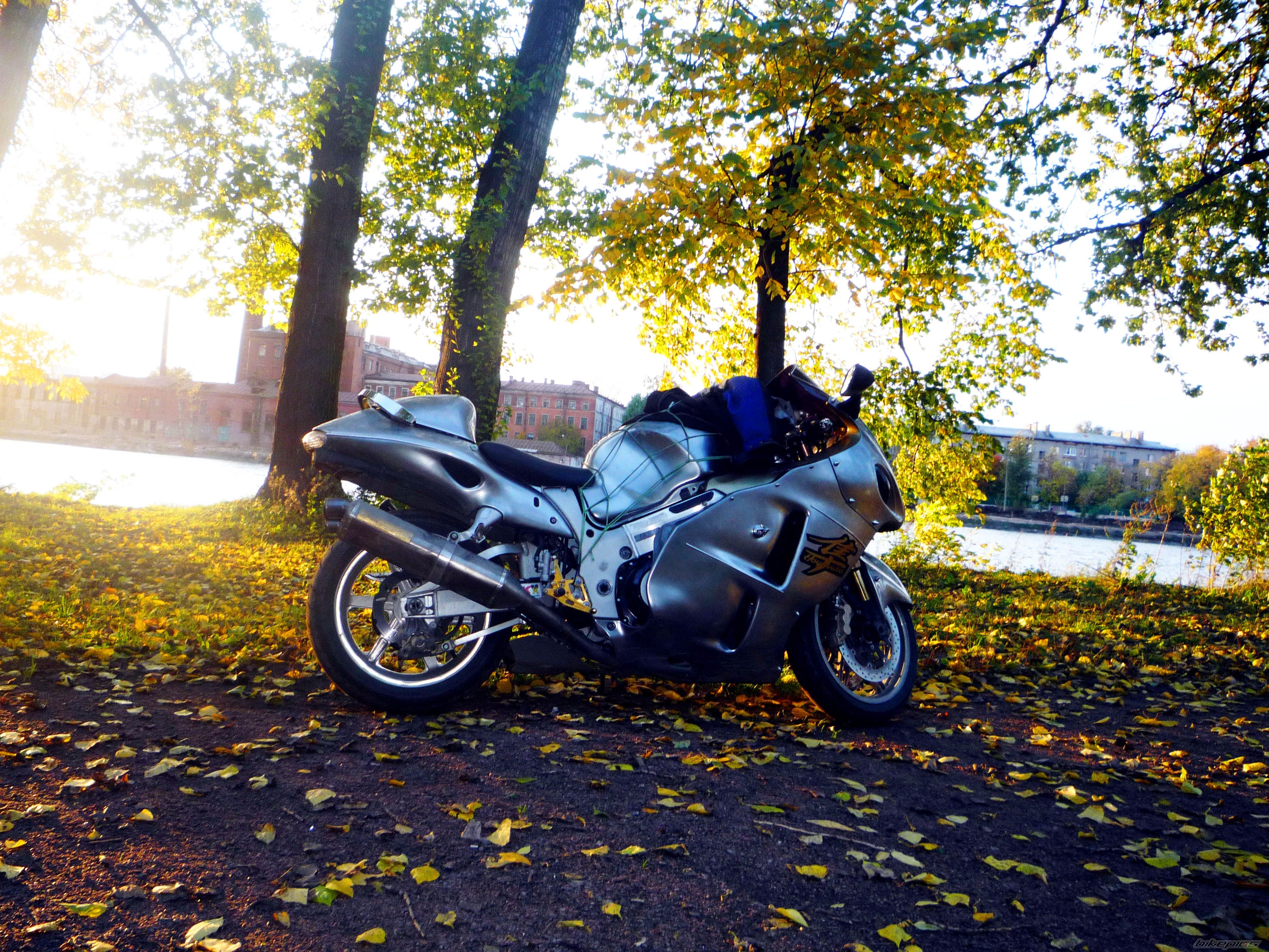 Photo 2472714