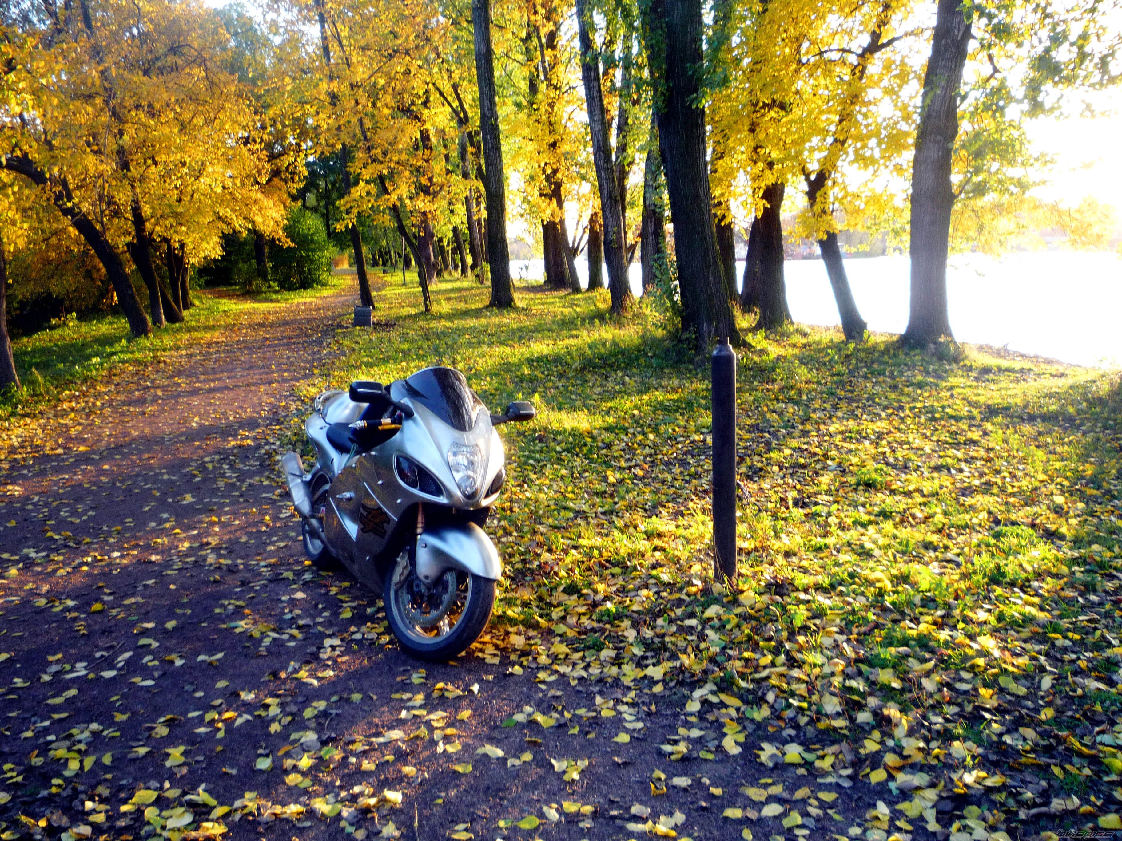 Photo 2472716