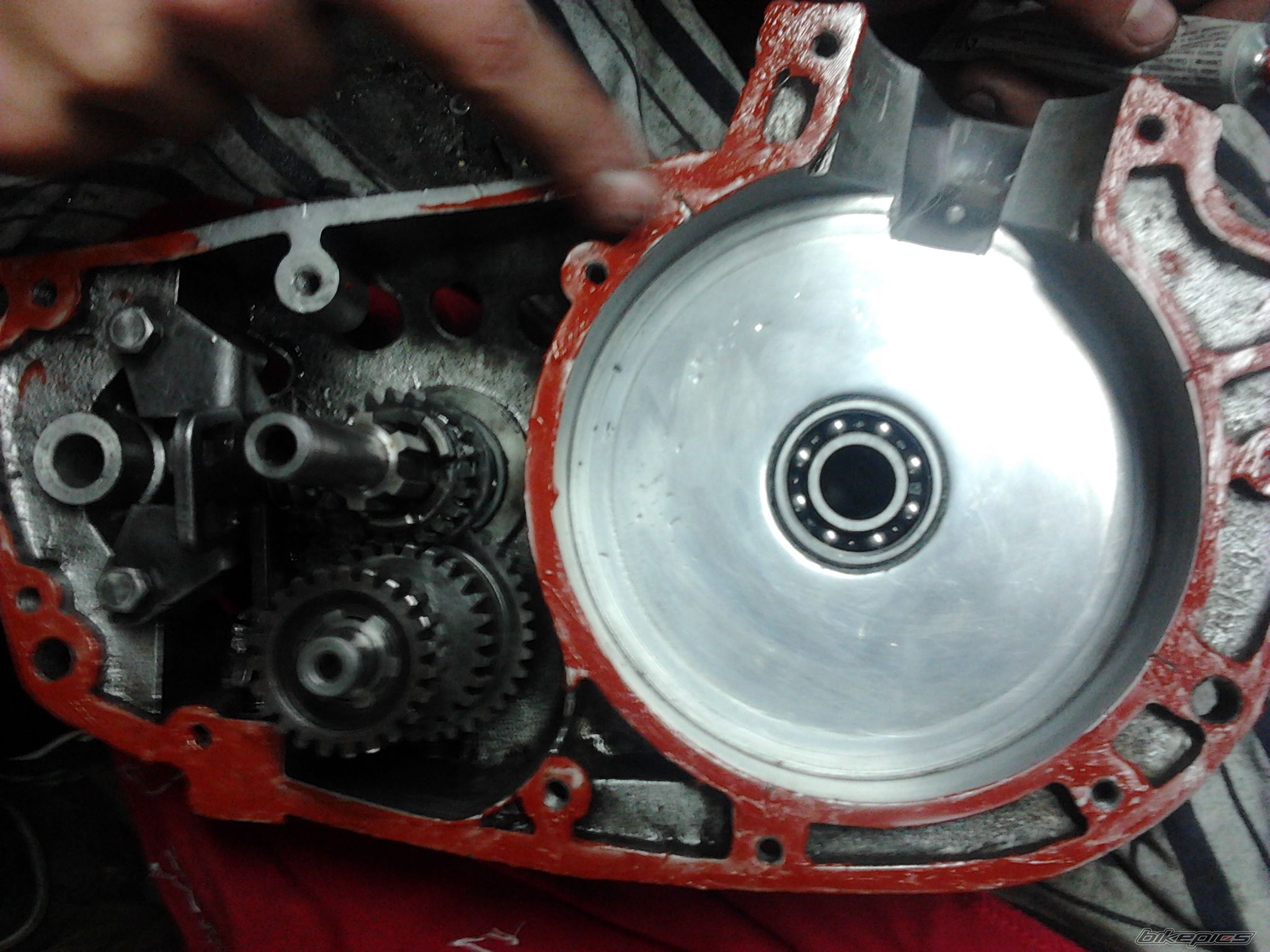 Photo 2472765