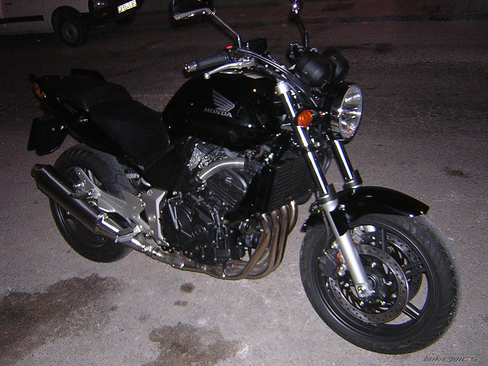 Photo 247277