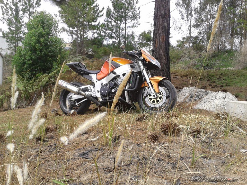 Photo 2472790