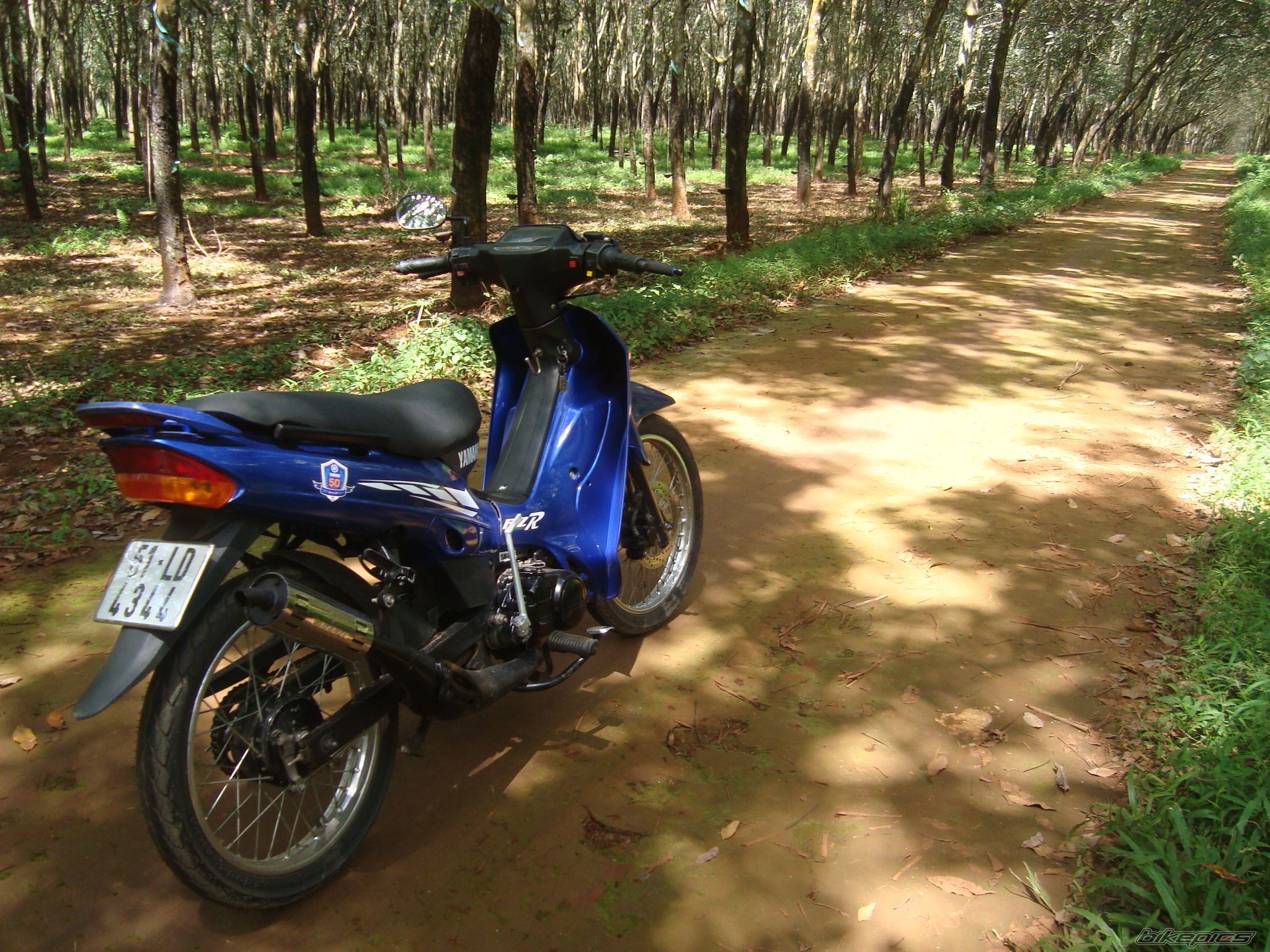Photo 2472795