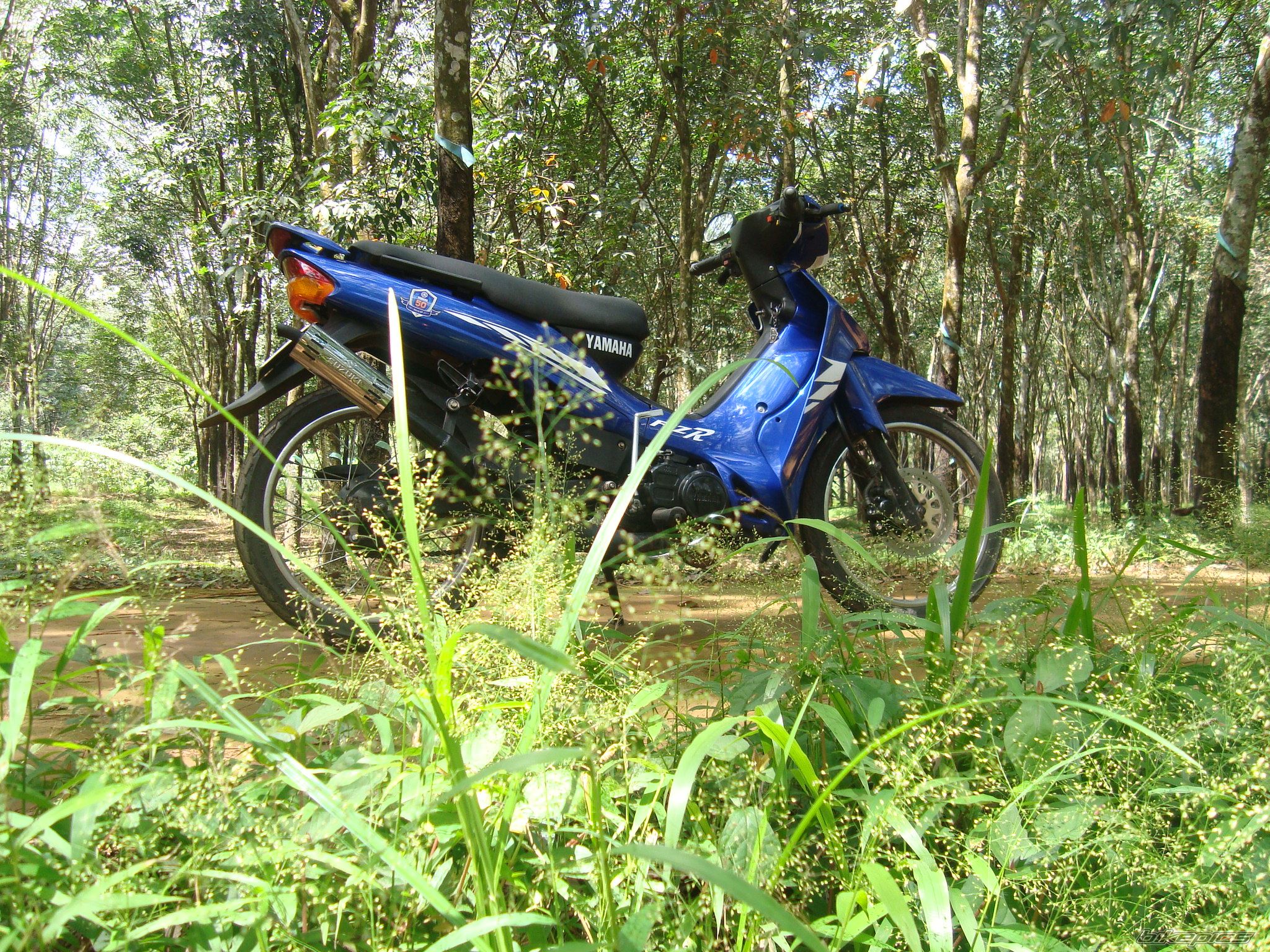 Photo 2472796