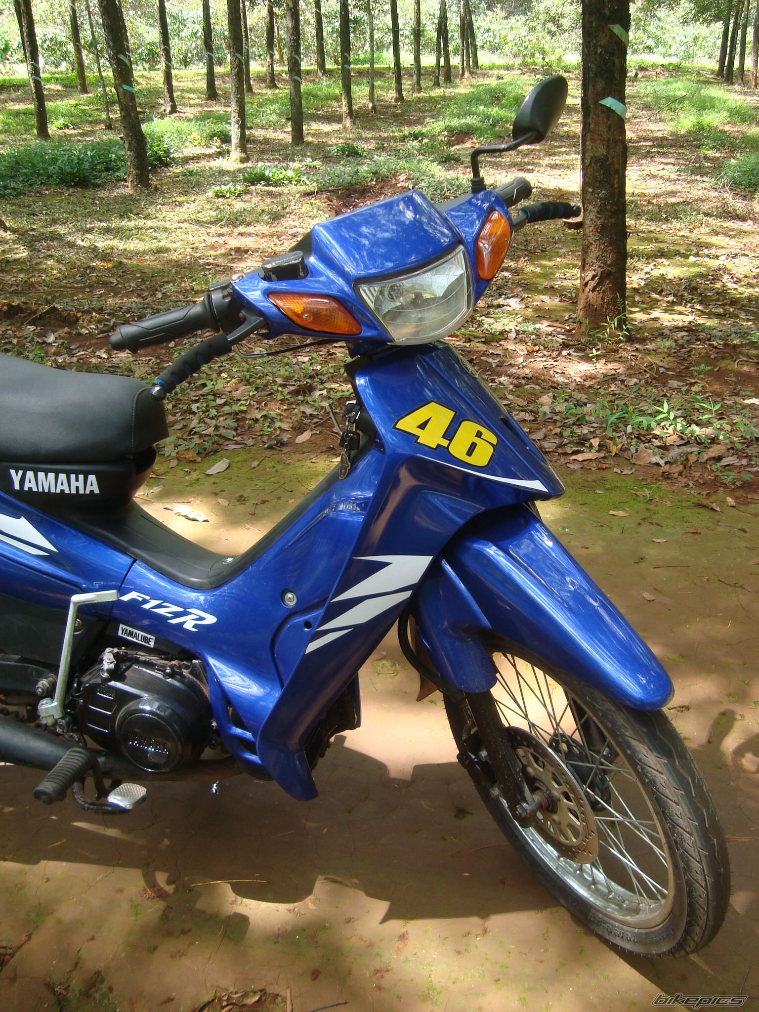 Photo 2472799