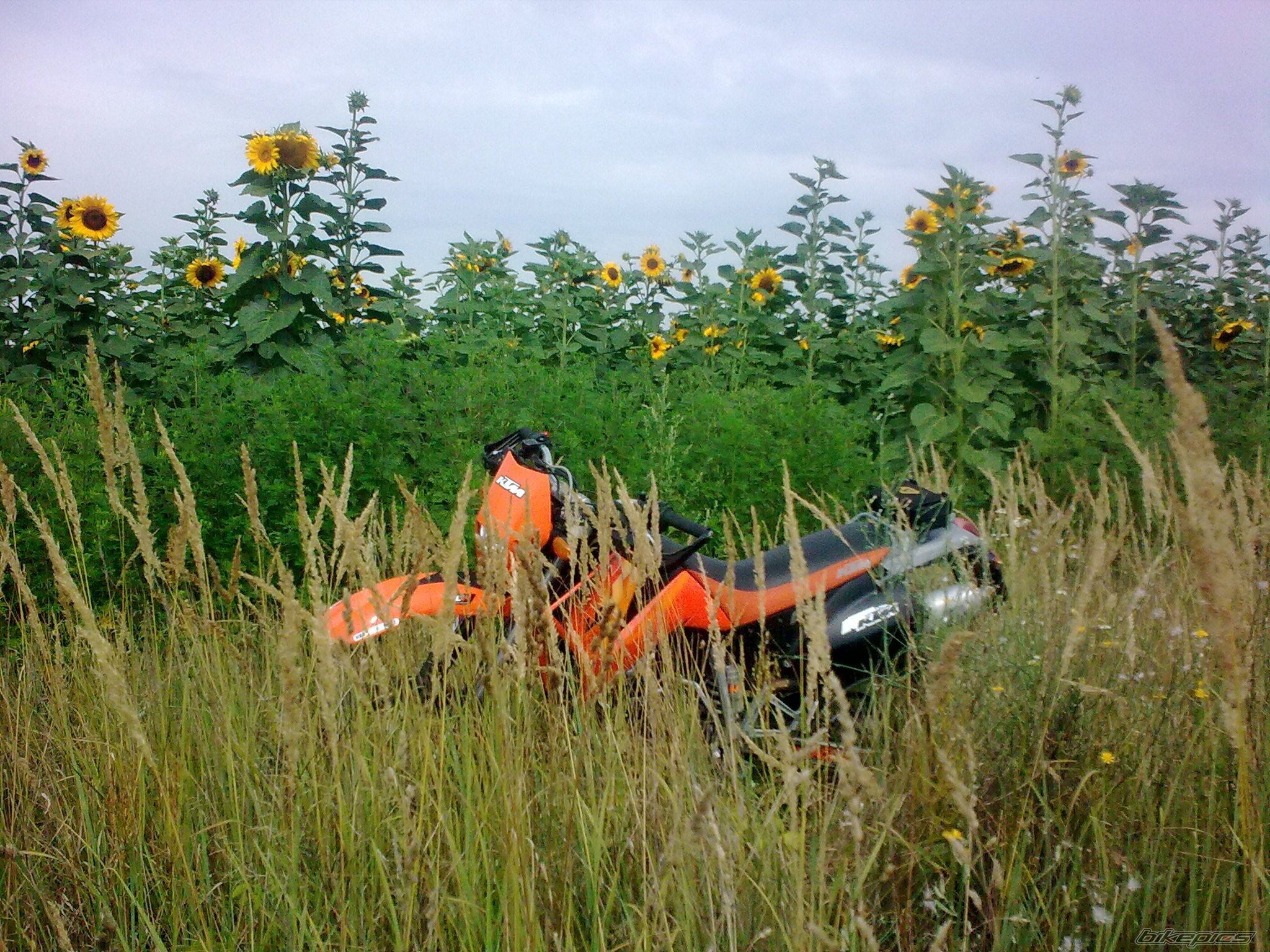 Photo 2472860
