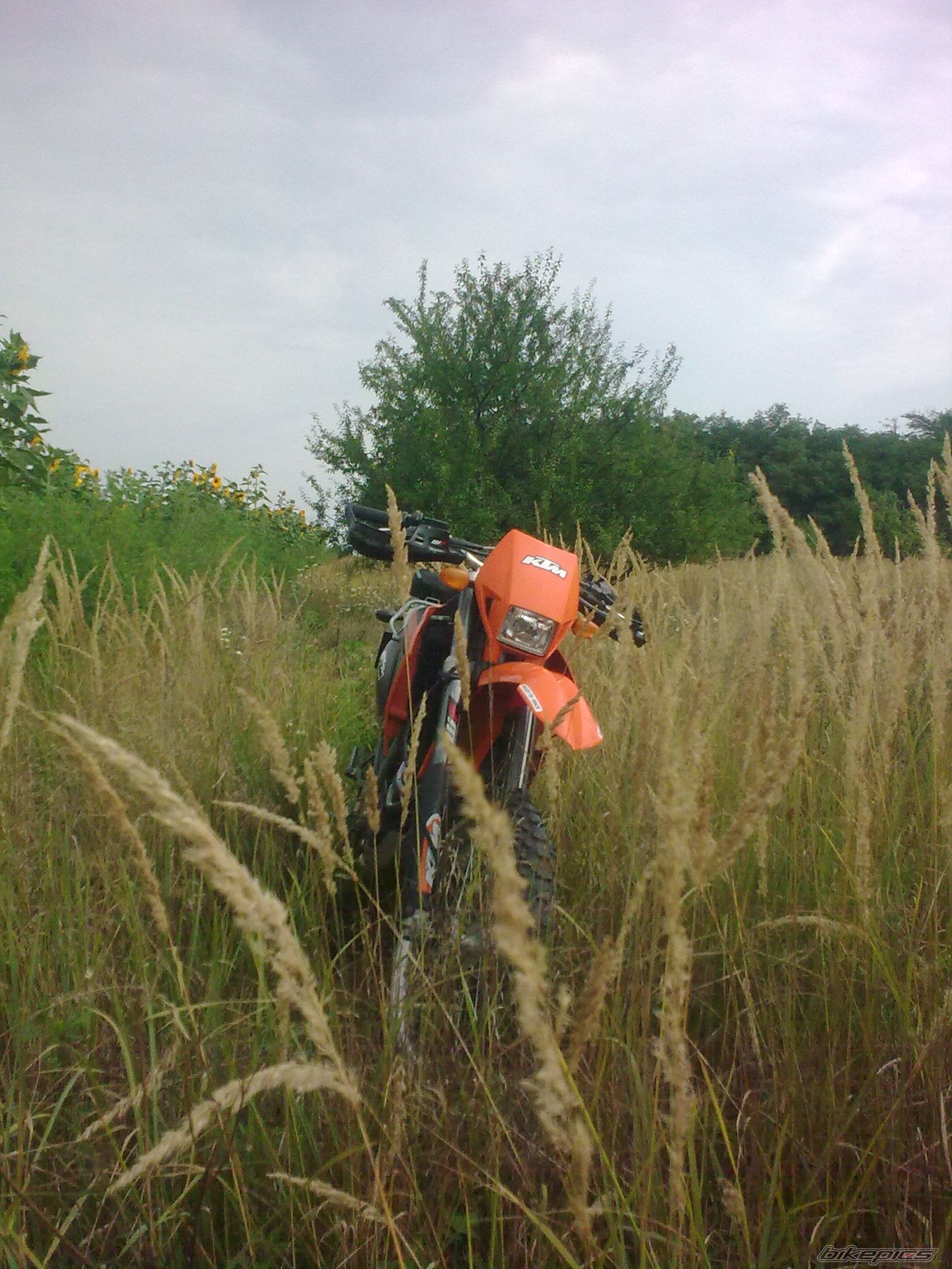 Photo 2472861