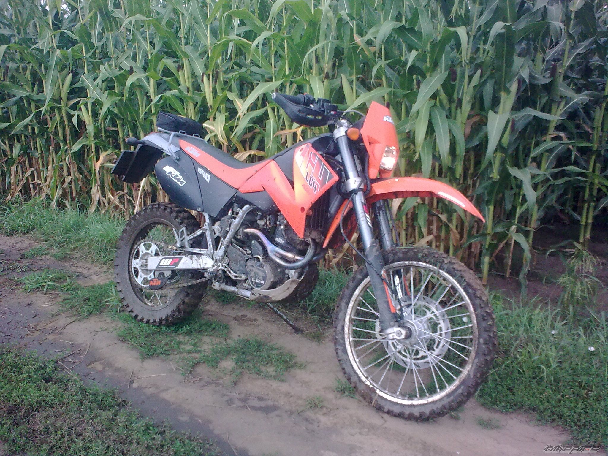 Photo 2472862