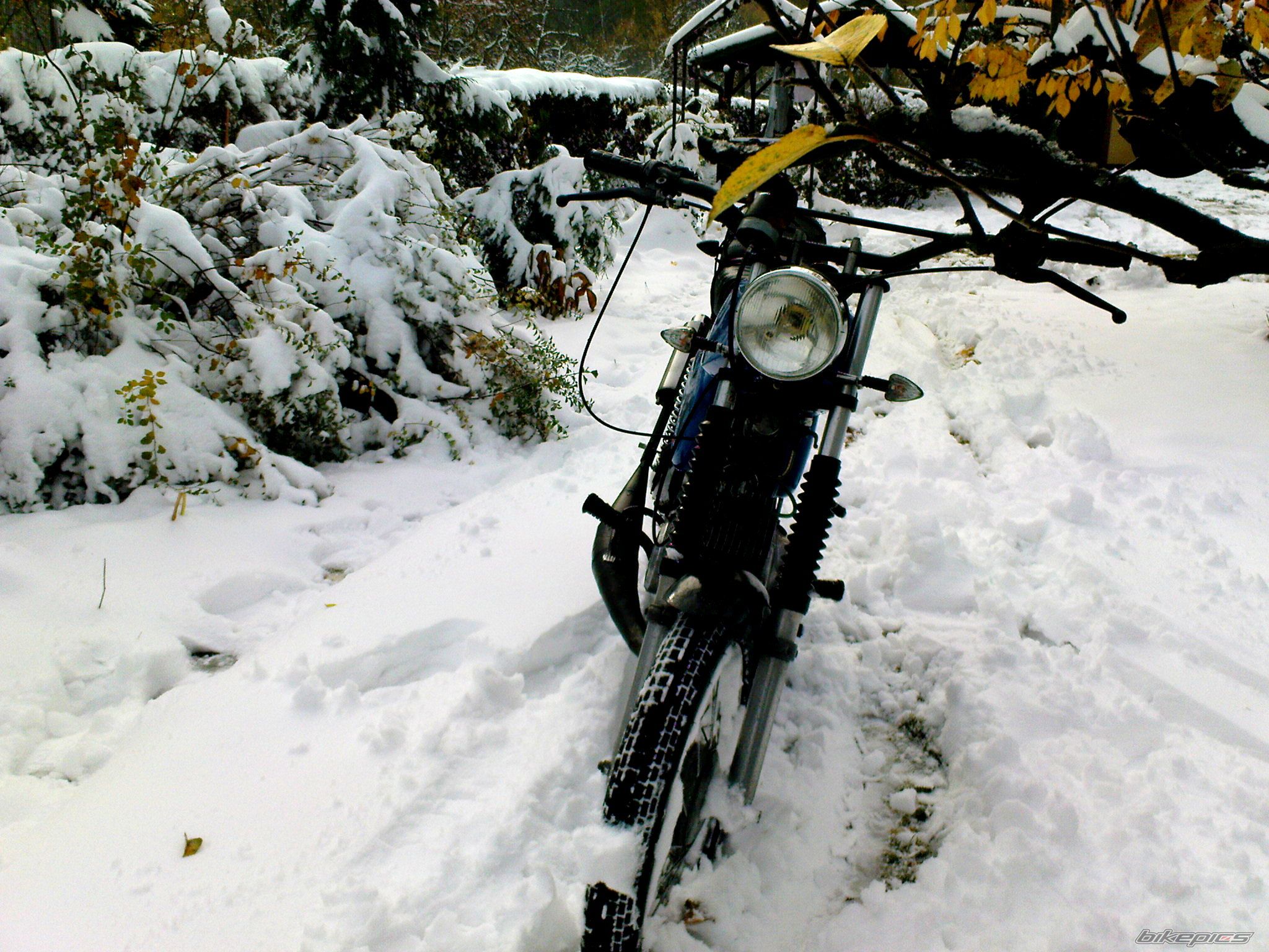 Bike Photo 2472882