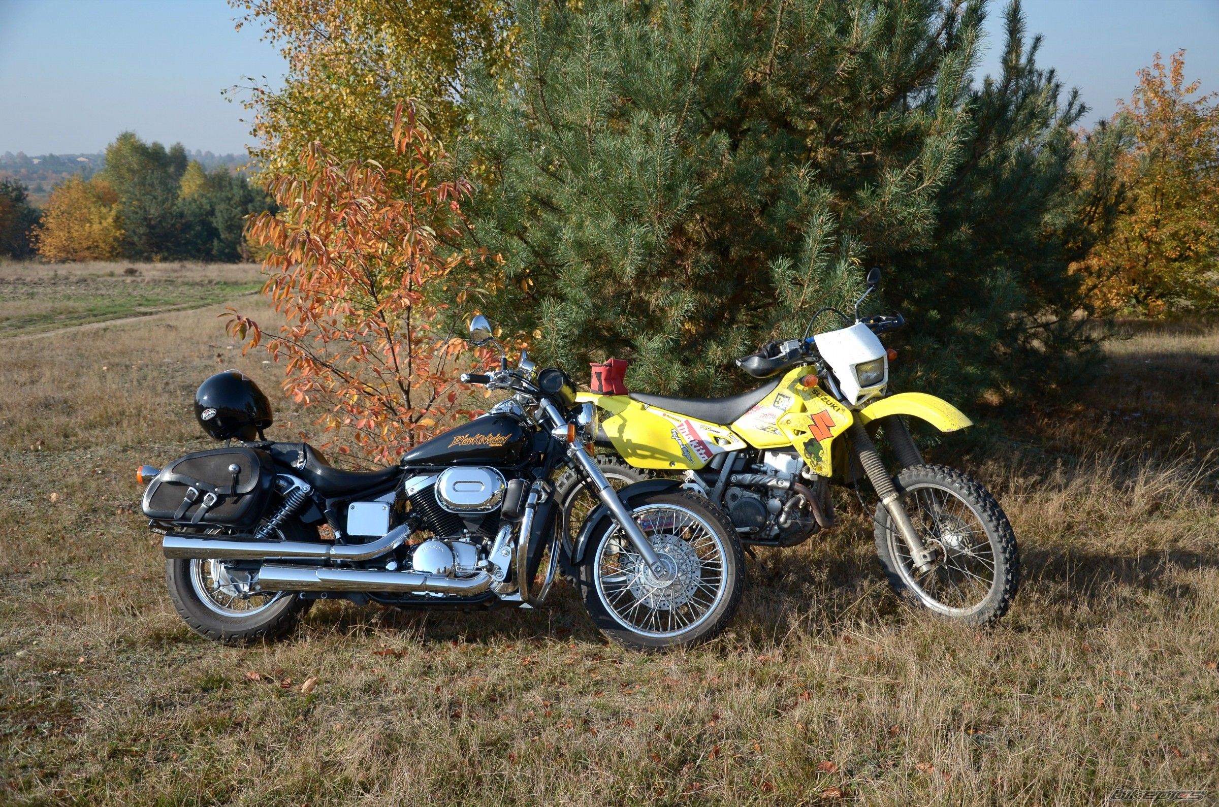 Bike Photo 2472889