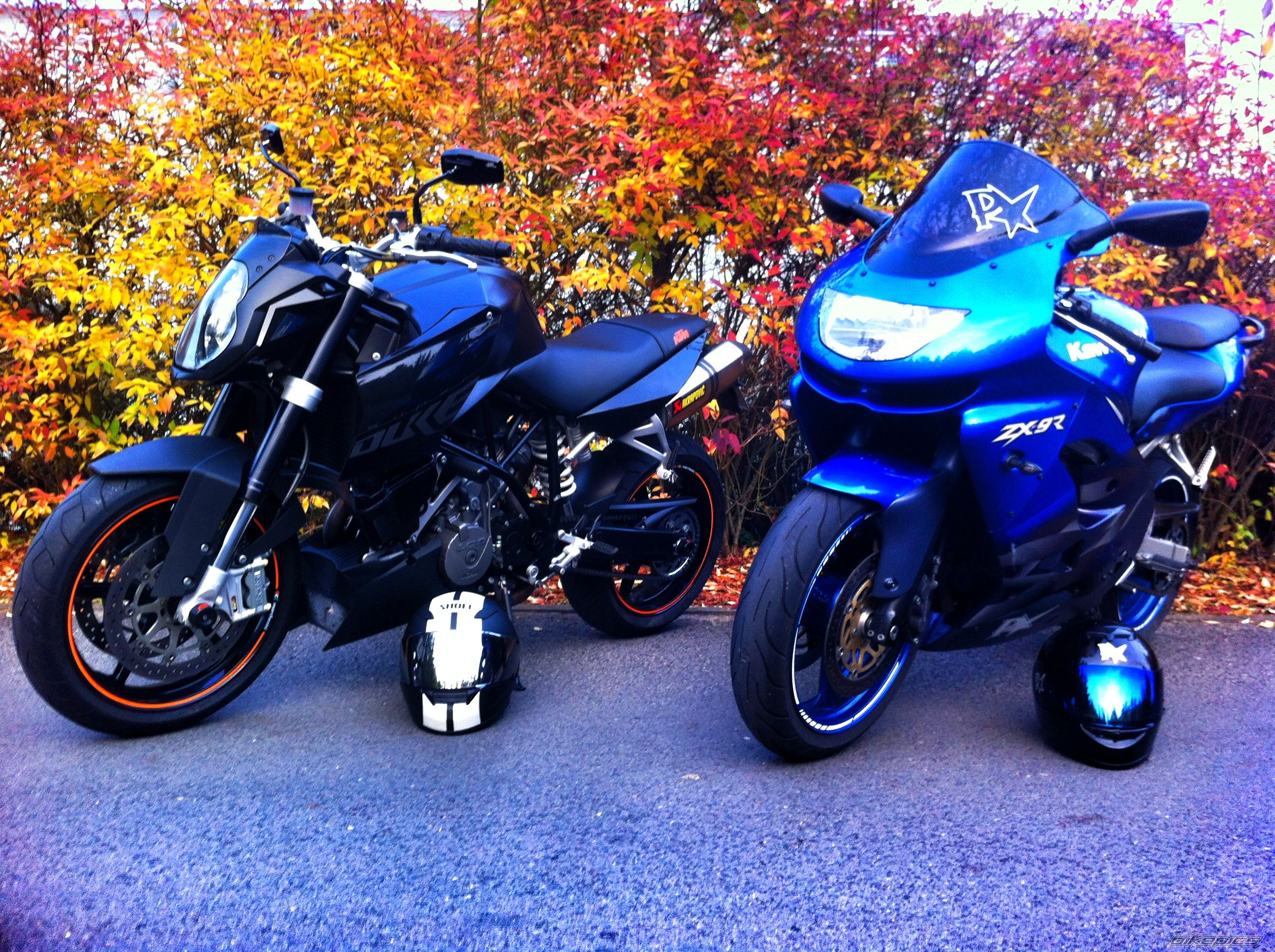 Photo 2472965