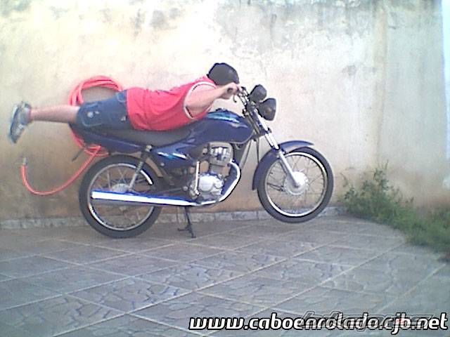 Photo 247307