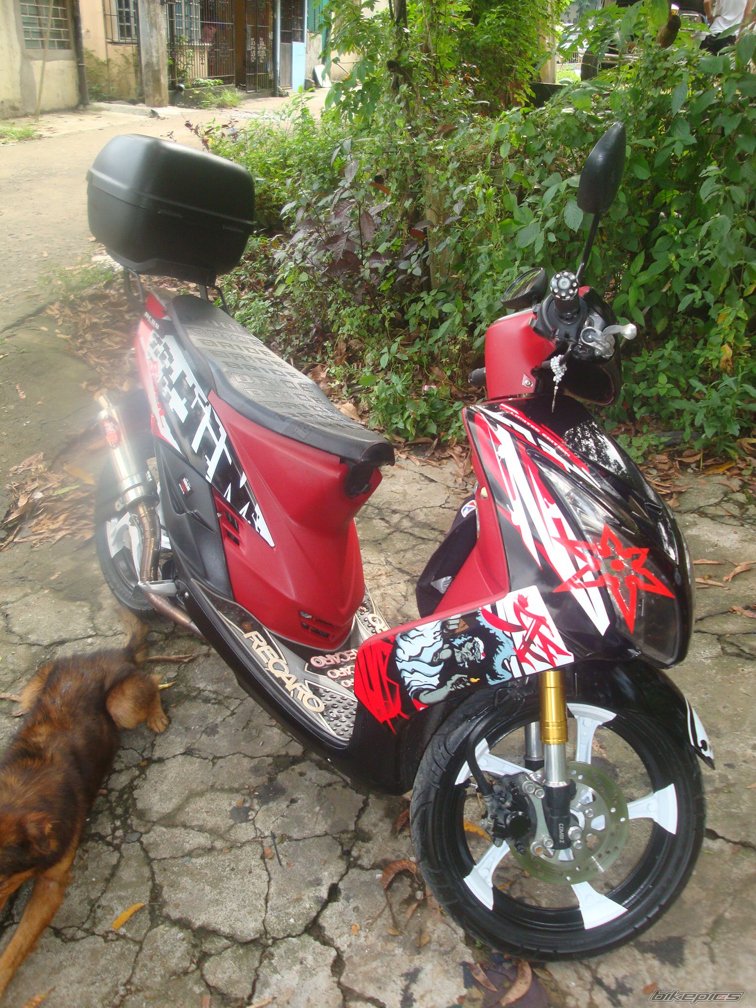 Bike Photo 2473158