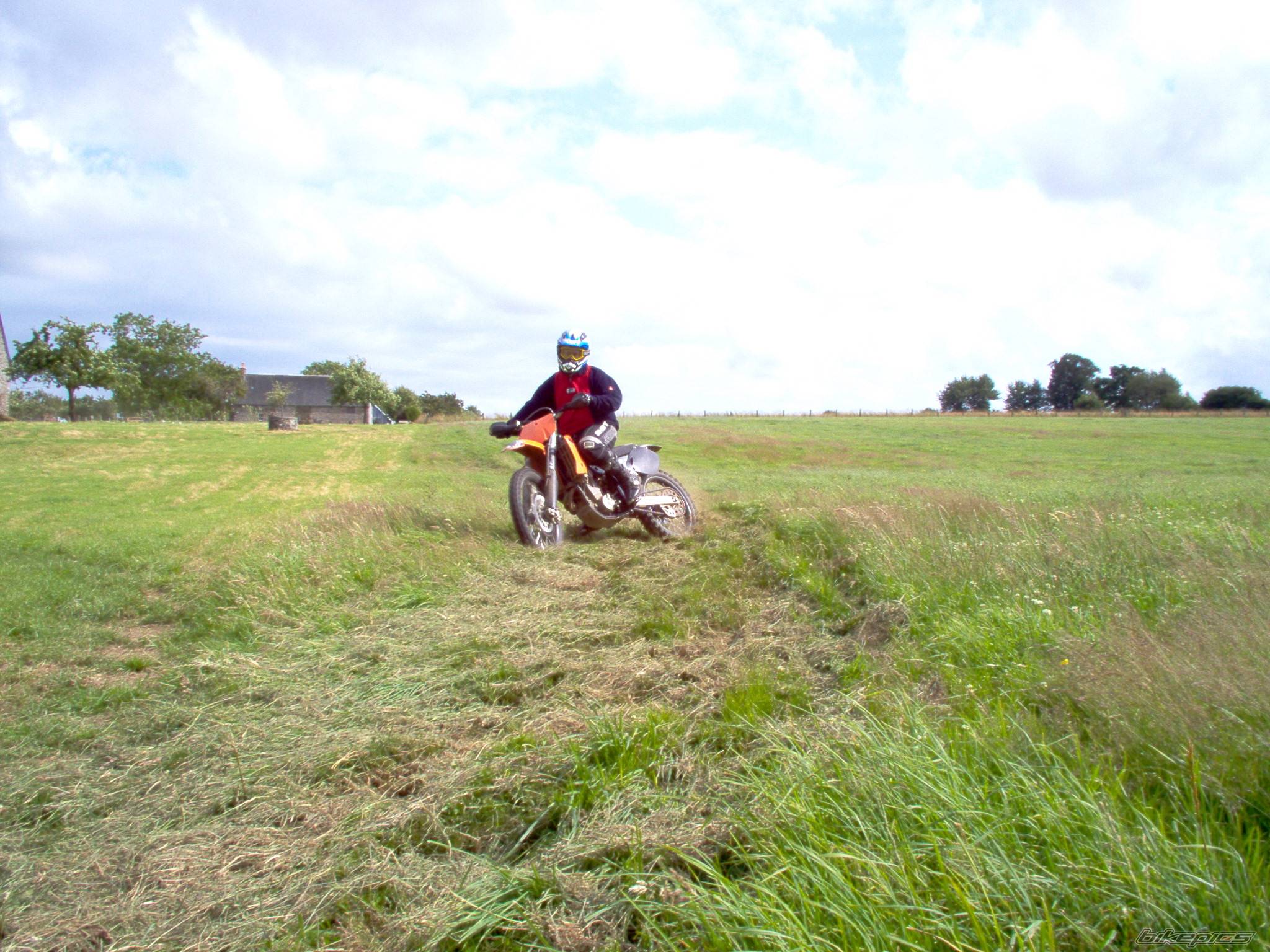 Photo 247316