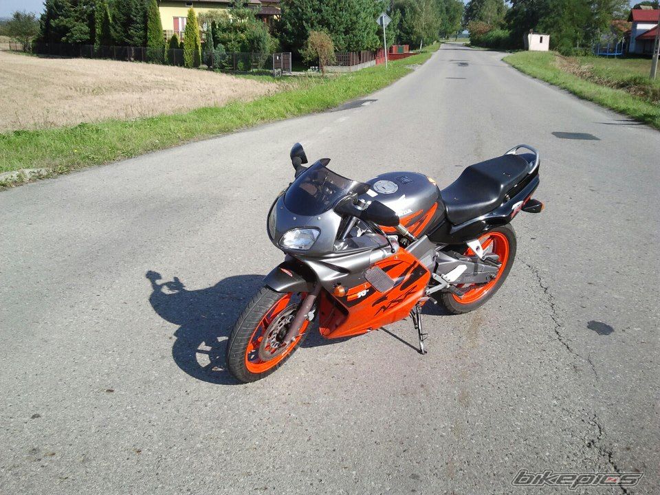 Photo 2473208