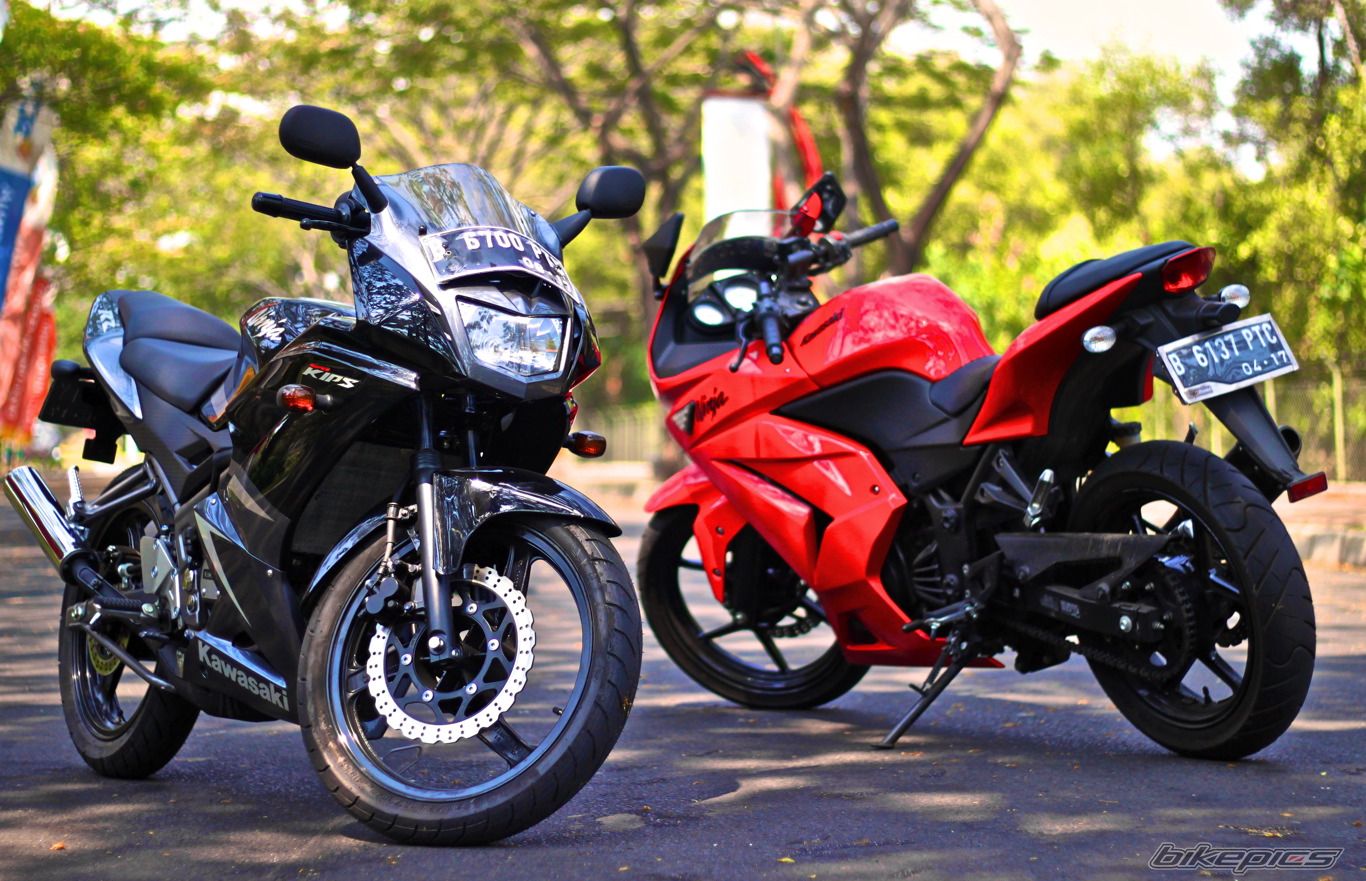 Photo 2473227