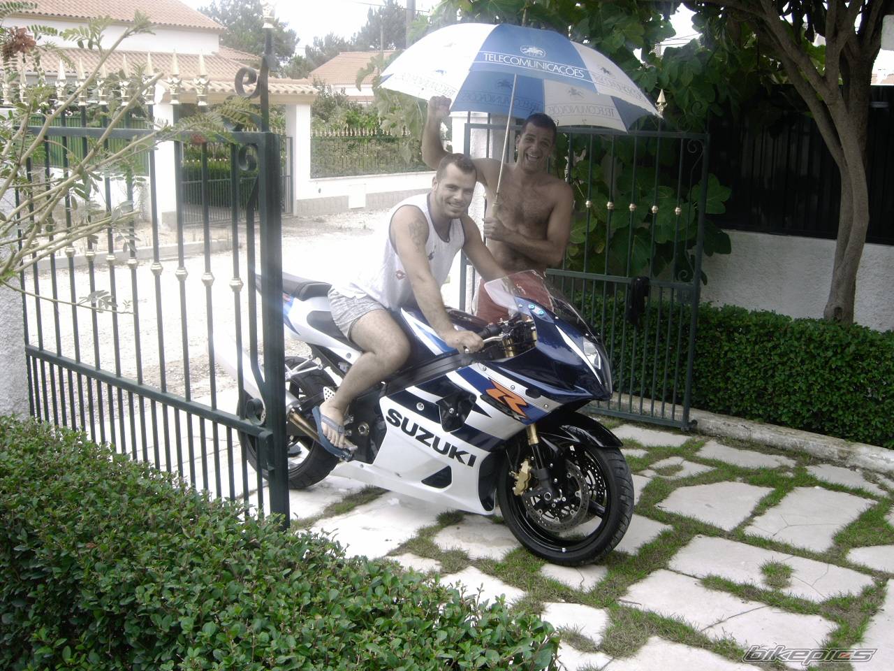 Photo 247332