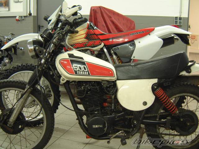 Photo 247335