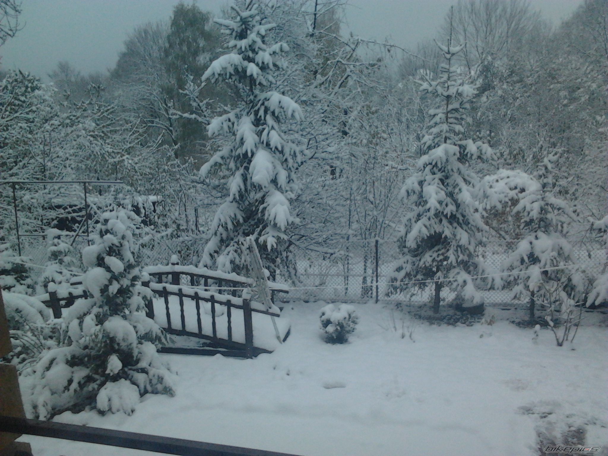 Photo 2473400