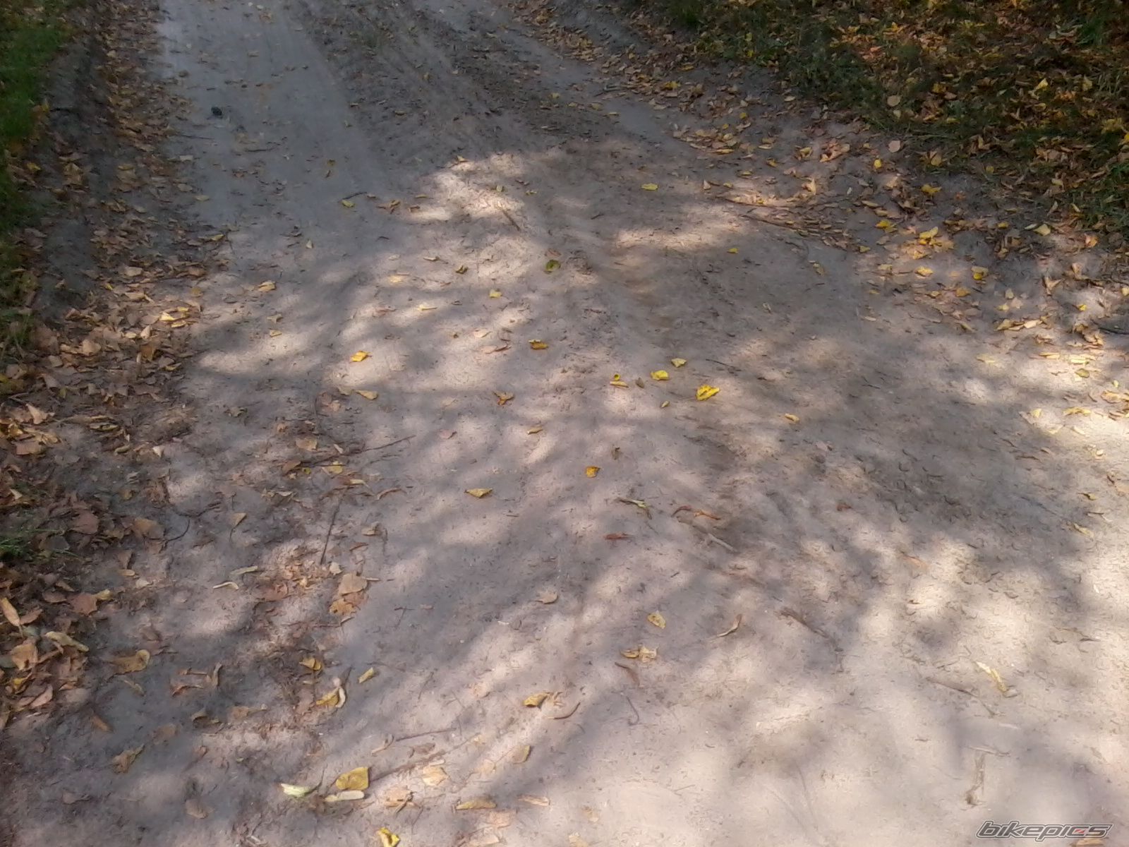 Photo 2473423