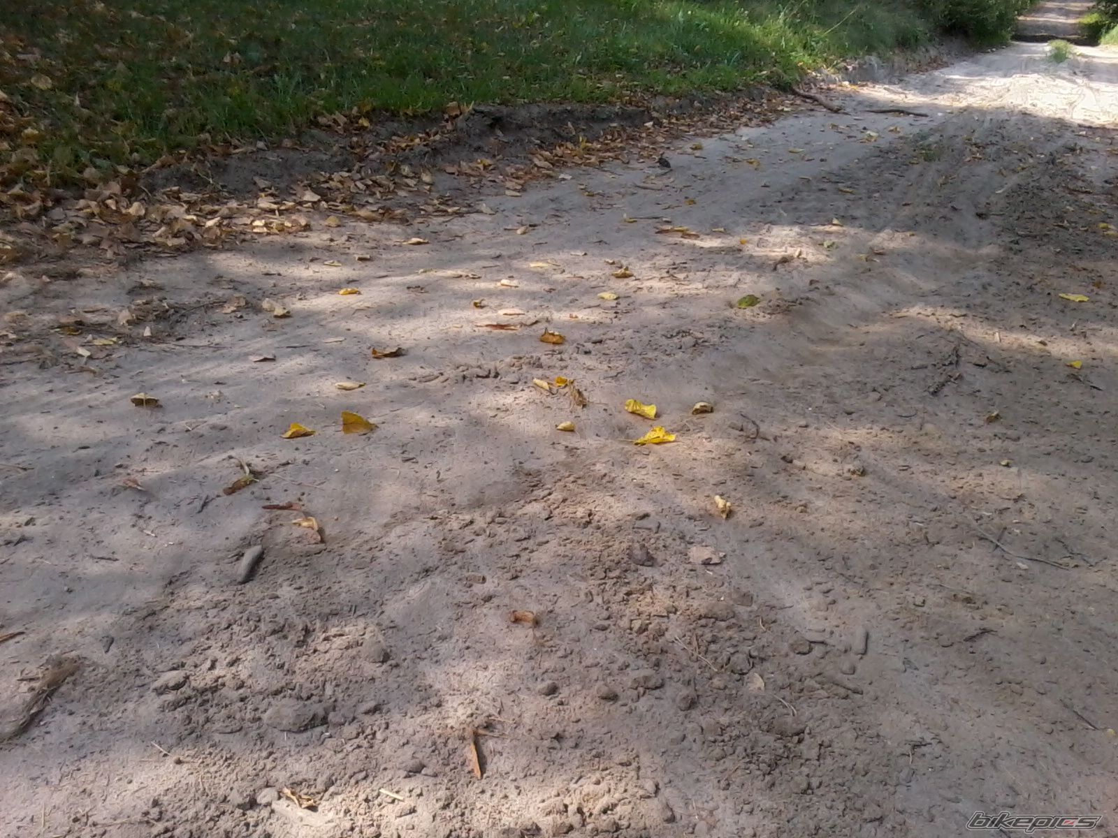 Photo 2473424