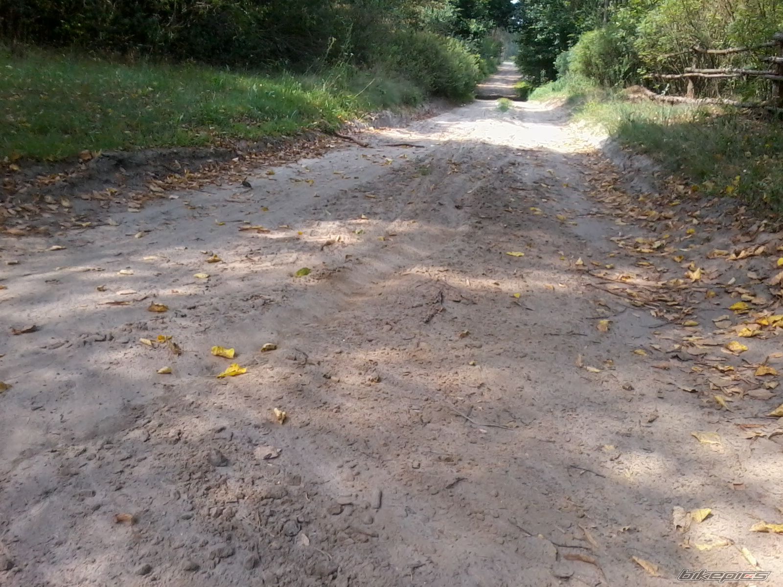 Photo 2473425