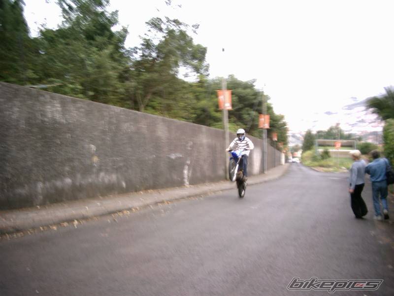 Photo 247346