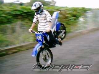 Photo 247347