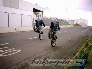 Photo 247349