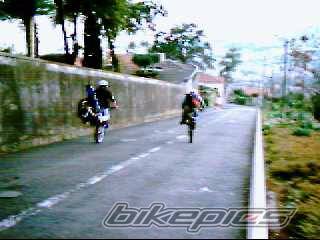 Photo 247350
