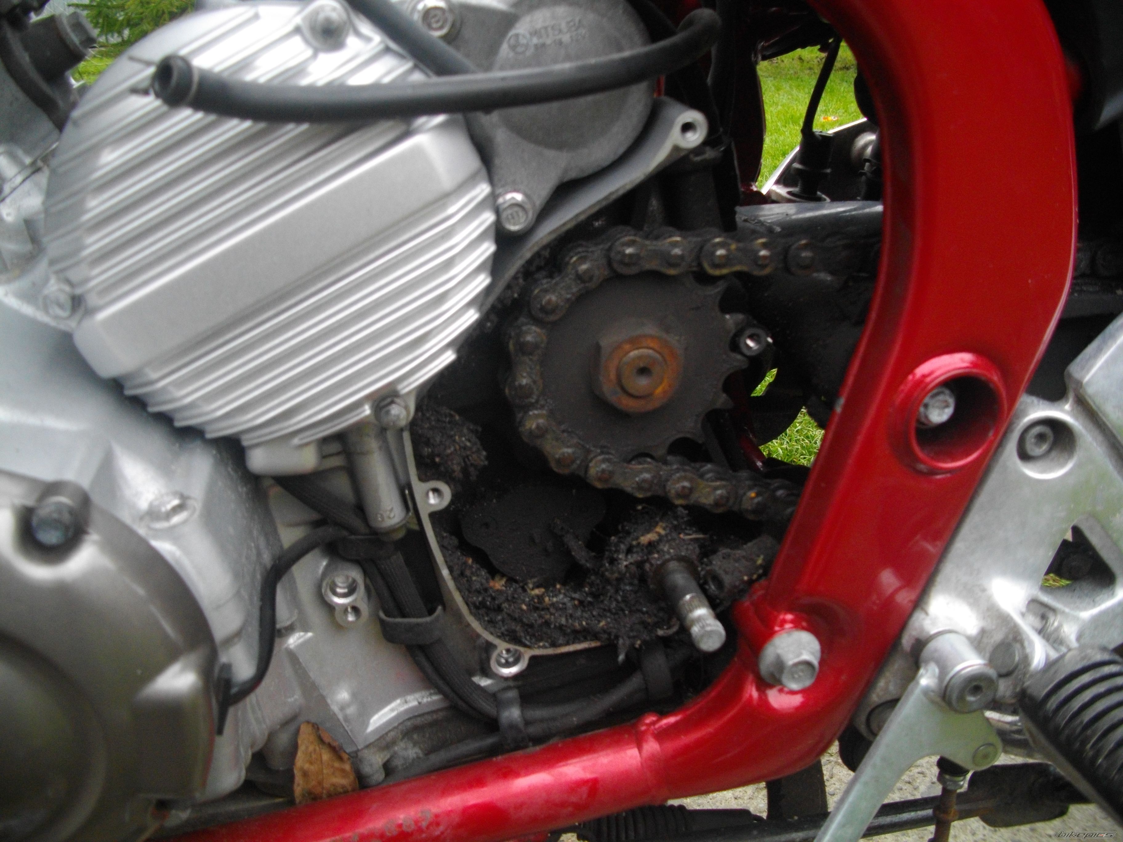 Photo 2473528