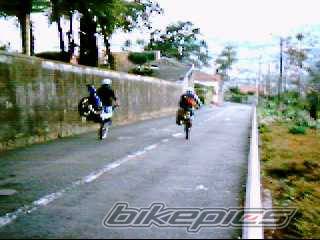 Photo 247353
