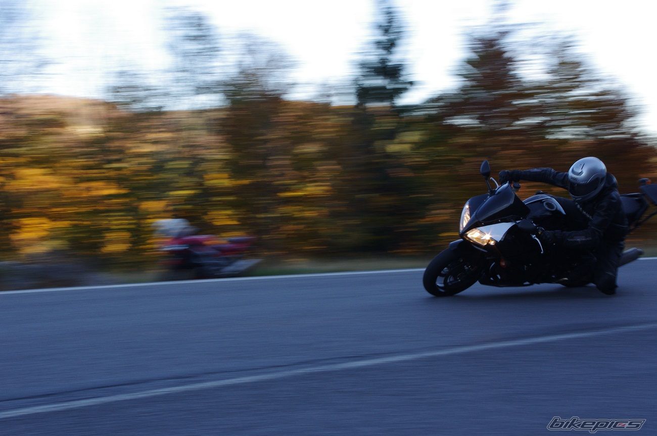 Photo 2473538