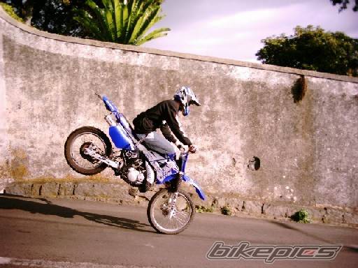 Photo 247355