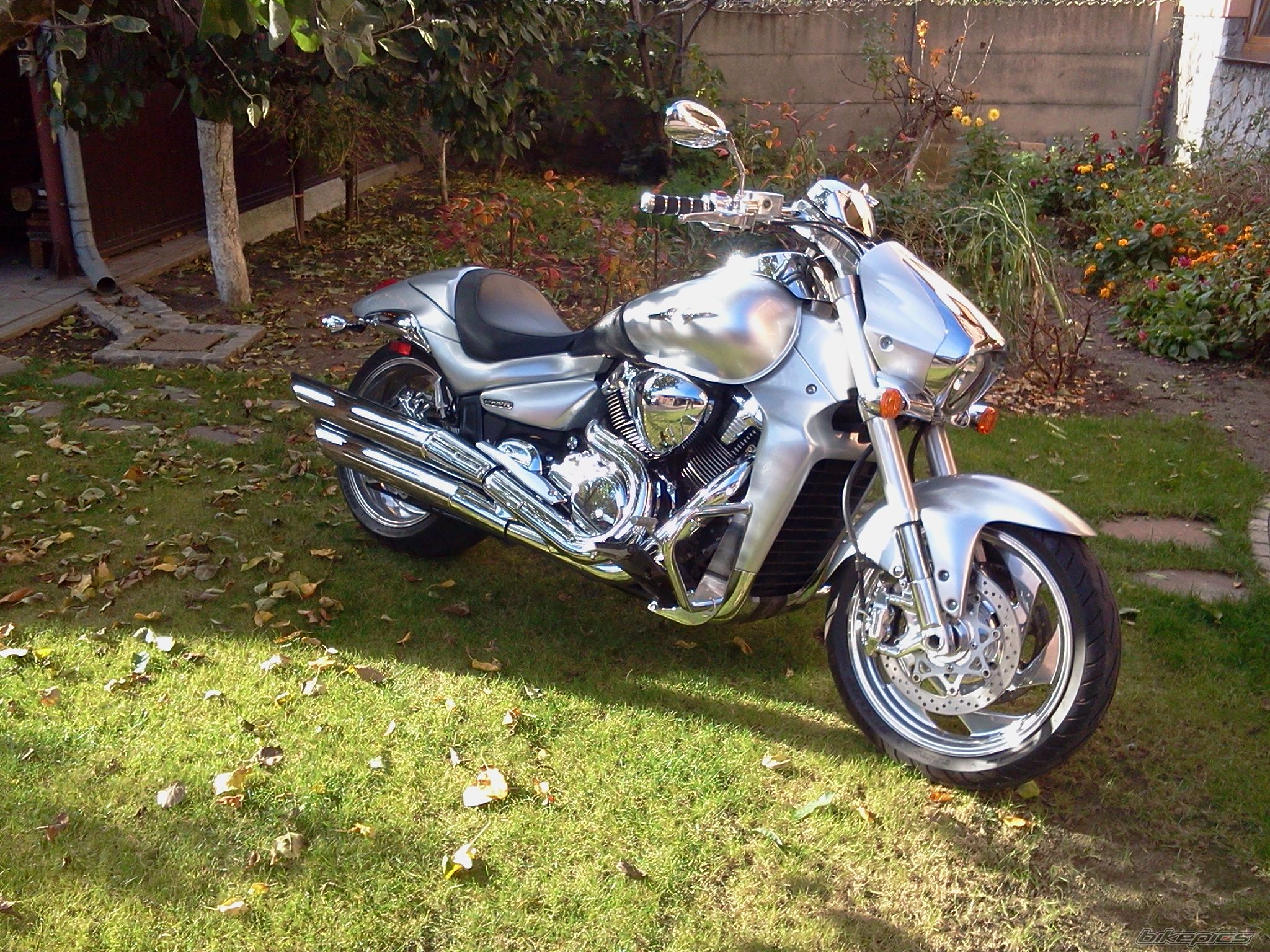 Photo 2473588