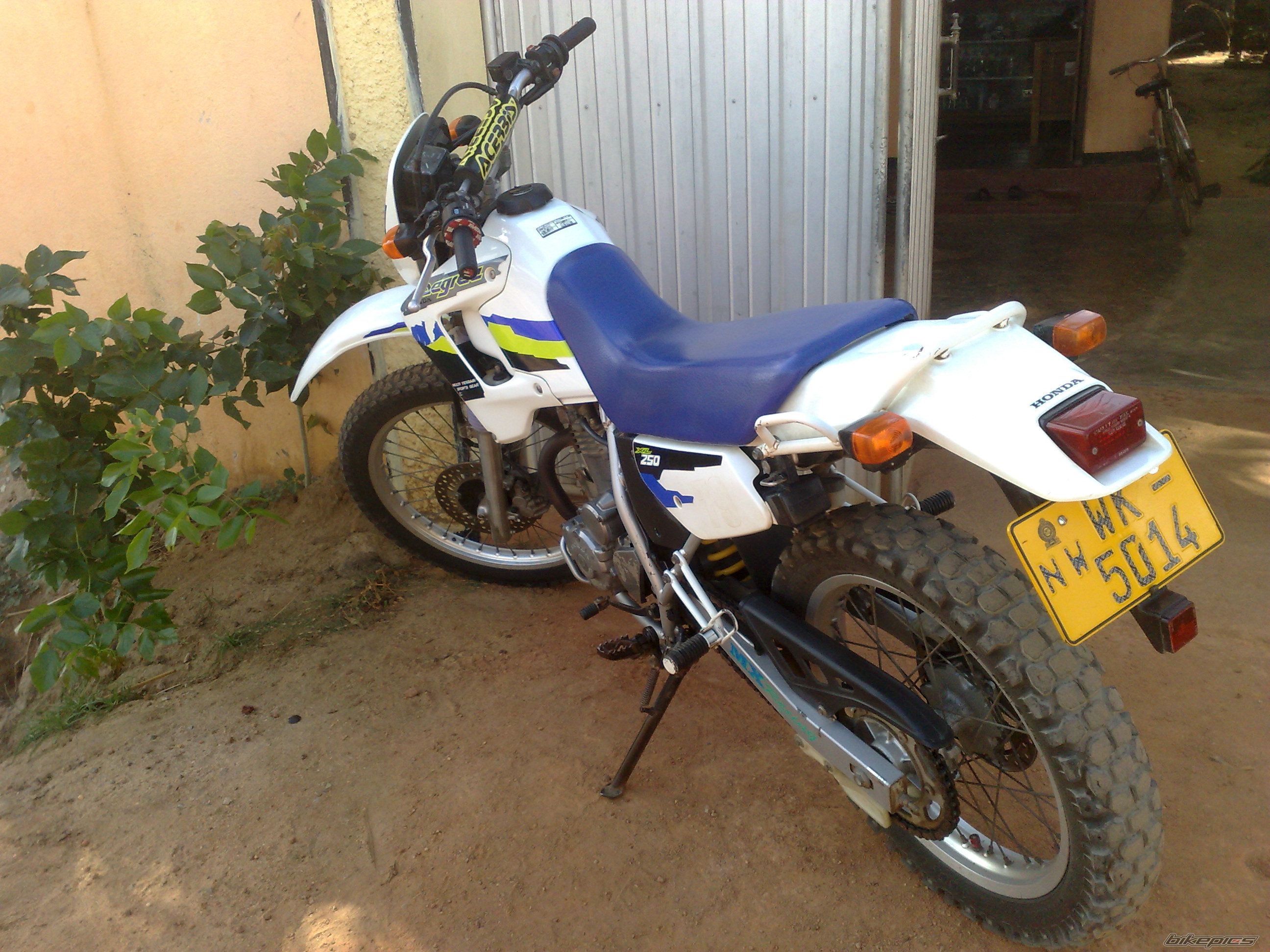 Photo 2473871