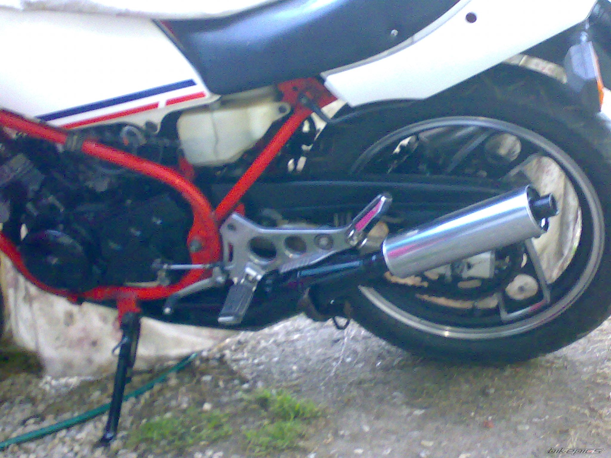 Photo 2473884