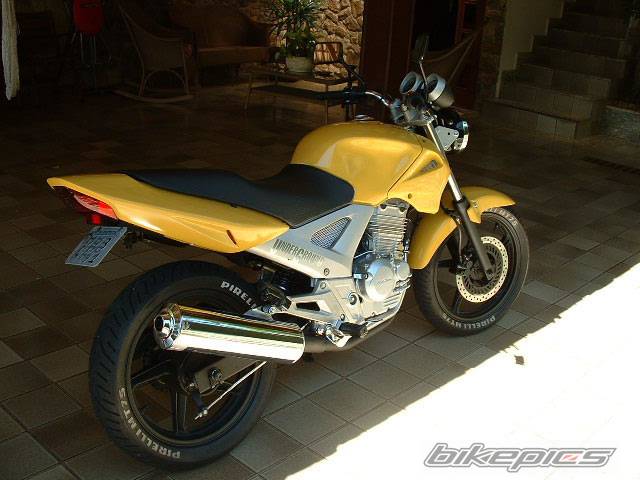 Photo 247390