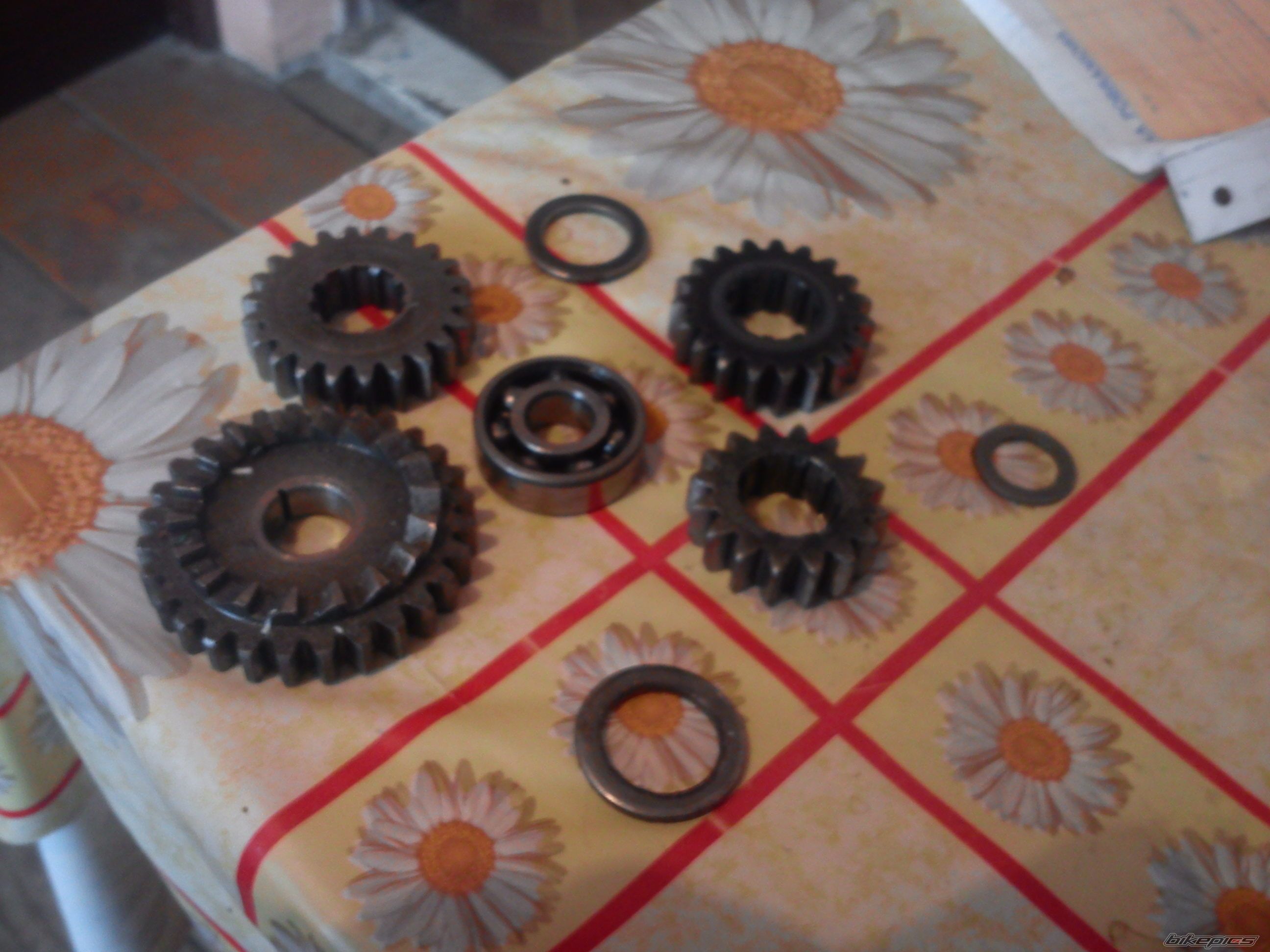 Photo 2473911