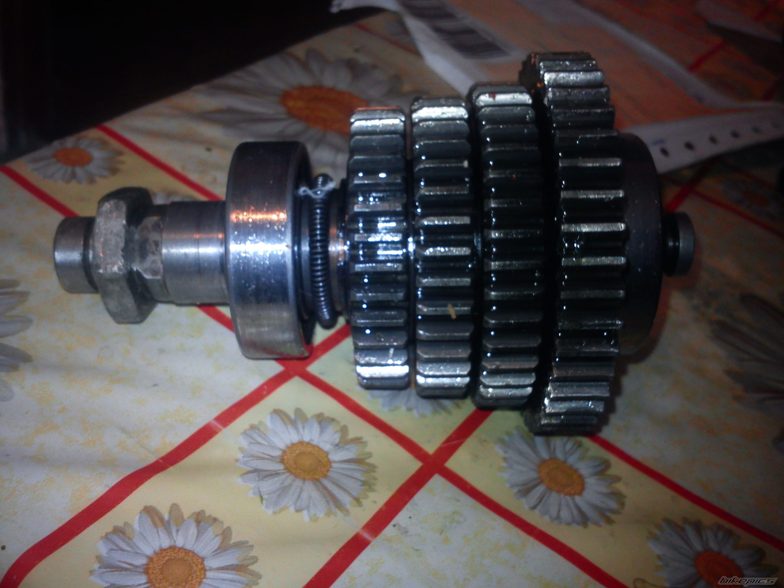 Photo 2473912