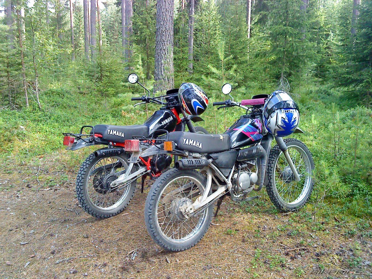 Photo 2473977