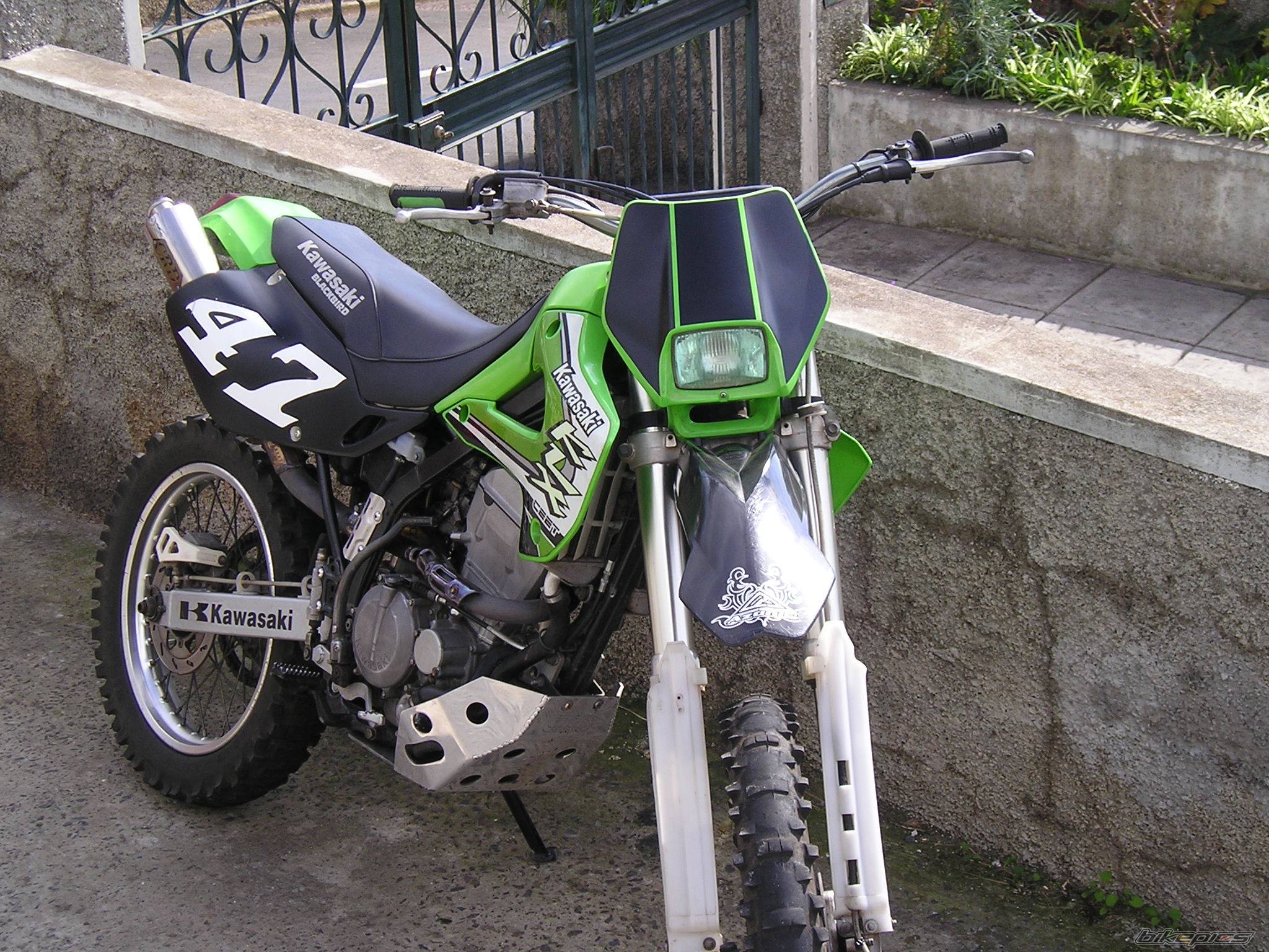 Bike Photo 247401