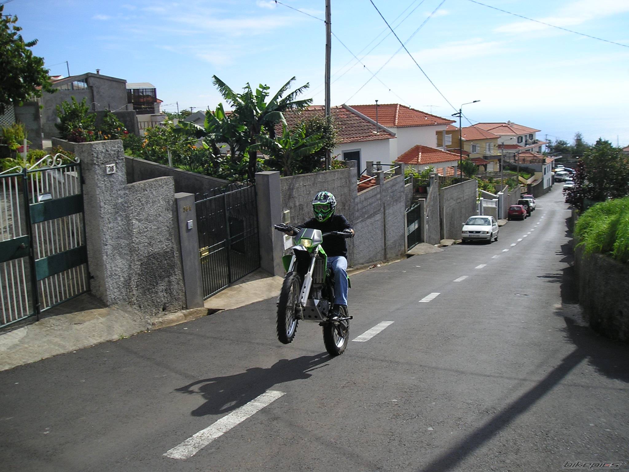 Photo 247403
