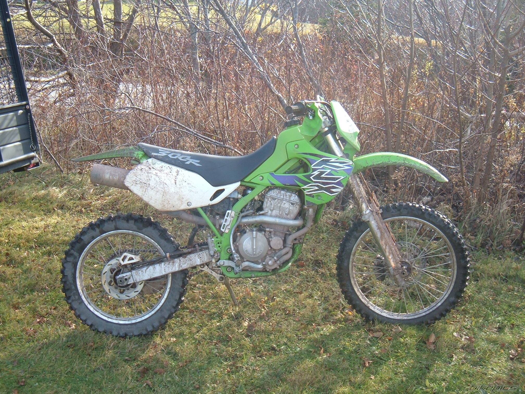 Photo 247412