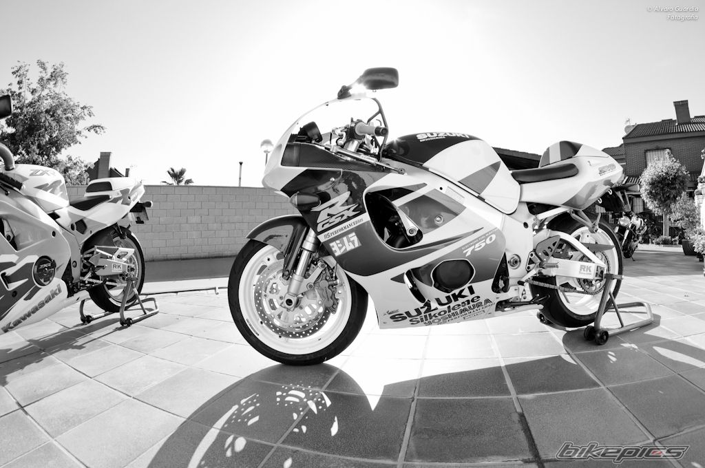 Photo 2474130