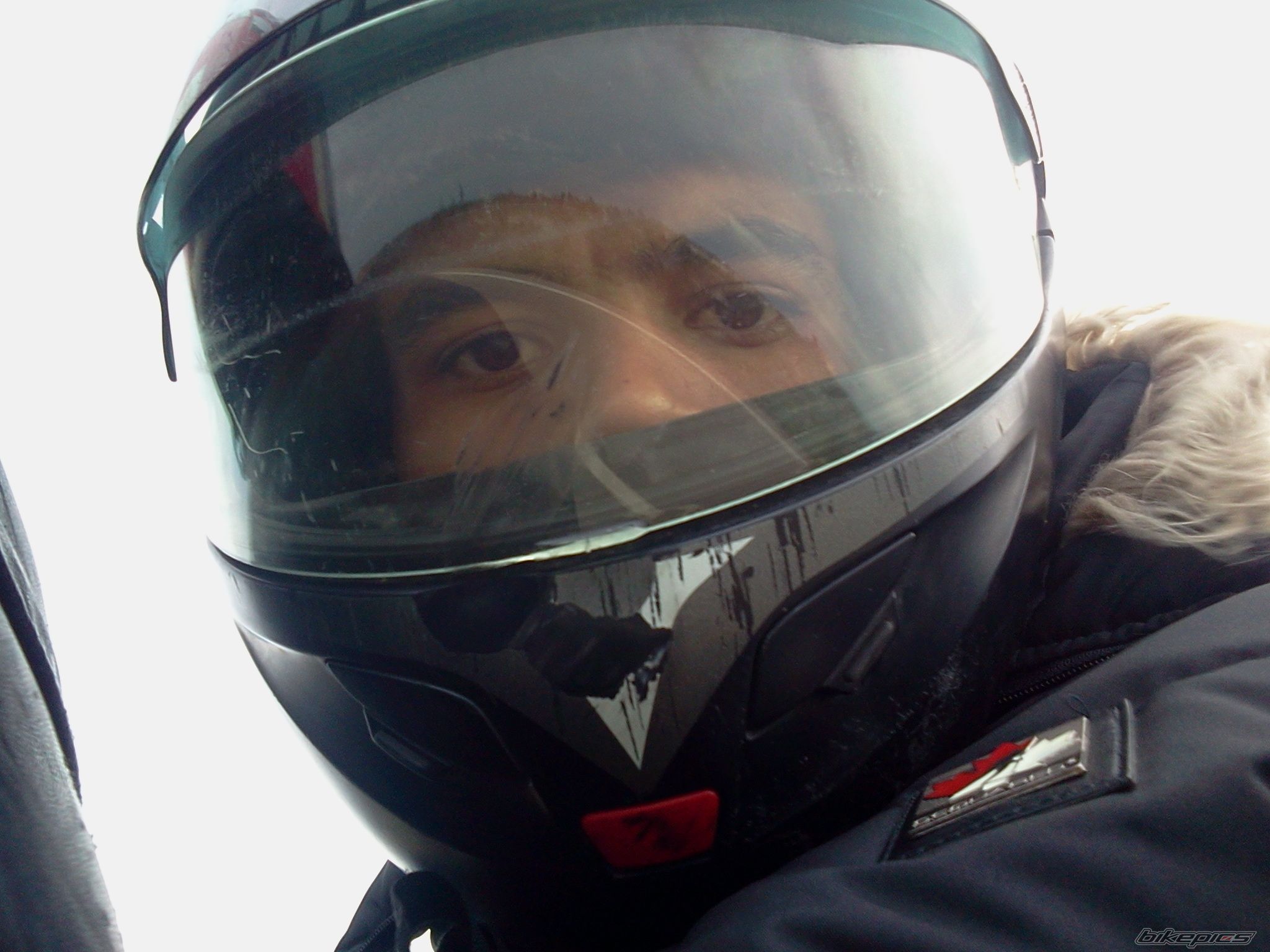 Photo 2474135