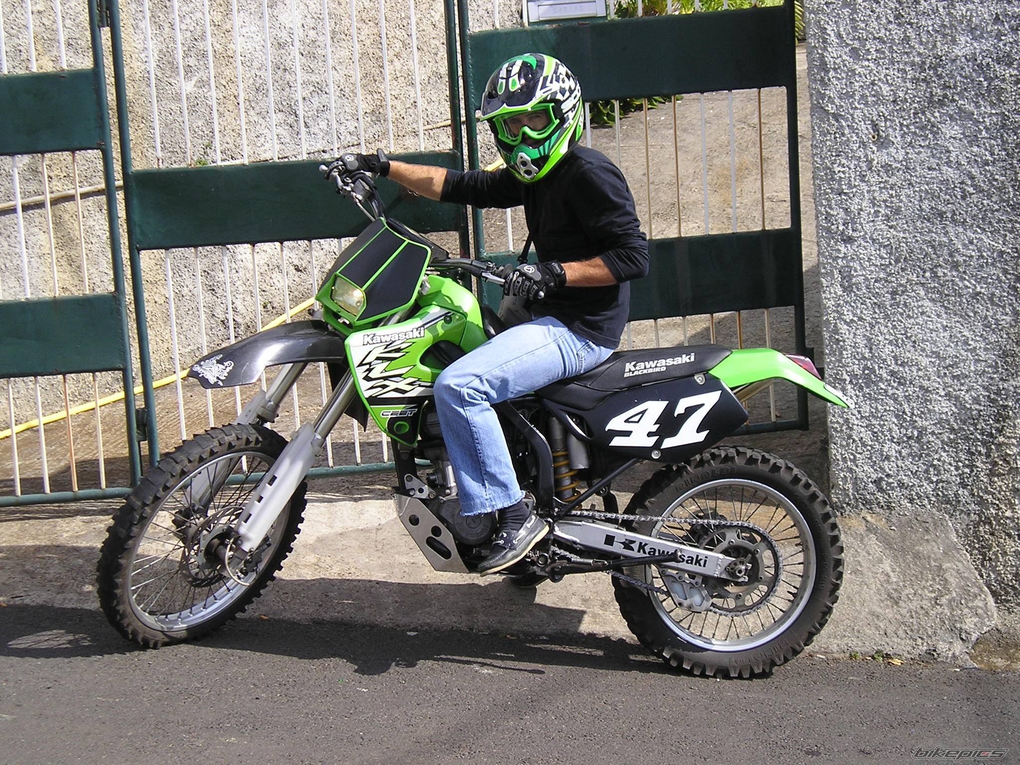 Photo 247415